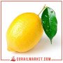 ليمون اصفر