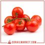 Tomate