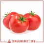 Tomate