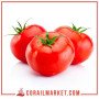 Tomate