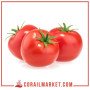 Tomate