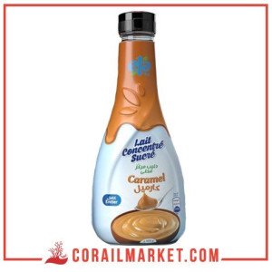 Lait concentré au caramel ela 520 g
