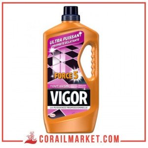 Nettoyant ménager Fraîcheur alpine VIGOR  1,3 l
