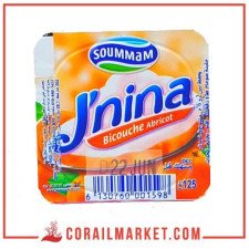 Yaourt bicouche  jnina  soummam 125 g