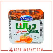 ياغورت ديالنا  صومام 100غ