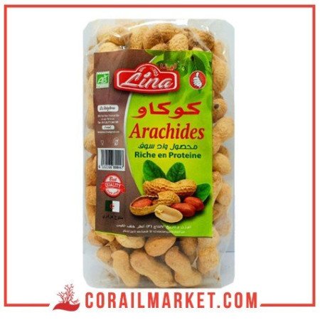 فول سوداني مملح لينا 250 غ