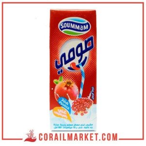 boisson lacté grenadine soumy soummam 180 ml