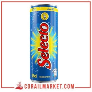 Boisson gazeuse  Selecto 33 cl