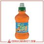 jus grenadine fruit shoot 20 cl