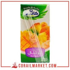 Jus cocktail de fruits  Candia 20 cl