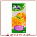 Jus cocktail de fruits  Candia 20 cl