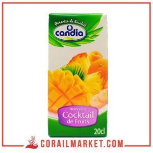 Jus cocktail de fruits  Candia 20 cl