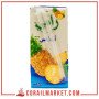 Jus d'ananas Ramy 20 cl