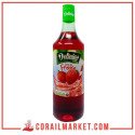 sirop fraise delicias 1l