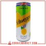 Boisson gazeuse citron menthe Schweppes 24 cl