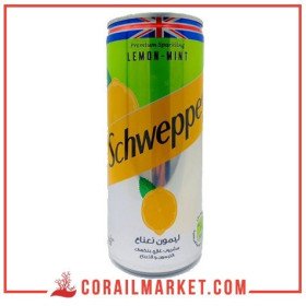 Boisson gazeuse citron menthe Schweppes 24 cl
