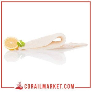 شرائح سمك البنغاسيوس (الصول) 500 غ