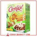 Cérégal Céréales Boules Aux Chocolat 25 G