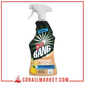 Cillit Bang Nettoyant ménager puissant au naturel à l'acide citrique 750ml