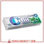 Orbite chewing gum Menthe Verte Blanche 14 g