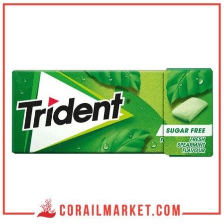 Trident Chewing Gum Saveur Menthe Verte Fraîche 14g