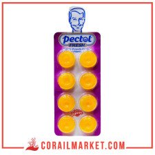 damel Pectol gingembre propolis Fresh Bonbon Au Vitamine C 19,2 G