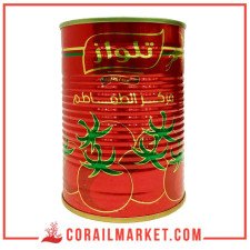 Telloise Tomate Double Concentré 22% 380 G