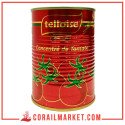 Telloise Tomate Double Concentré 22% 380 G