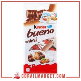 Biscuit au chocolat kinder bueno mini 108 g