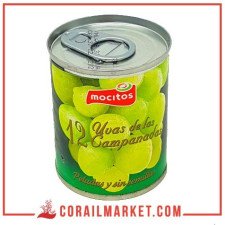 raisin vert mocitos 120 g