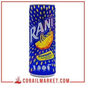 jus avec pulpe ananas rani 240 ml