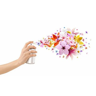 DÉSODORISANTS ET INSECTICIDES