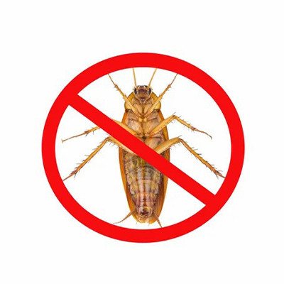 INSCTICIDES